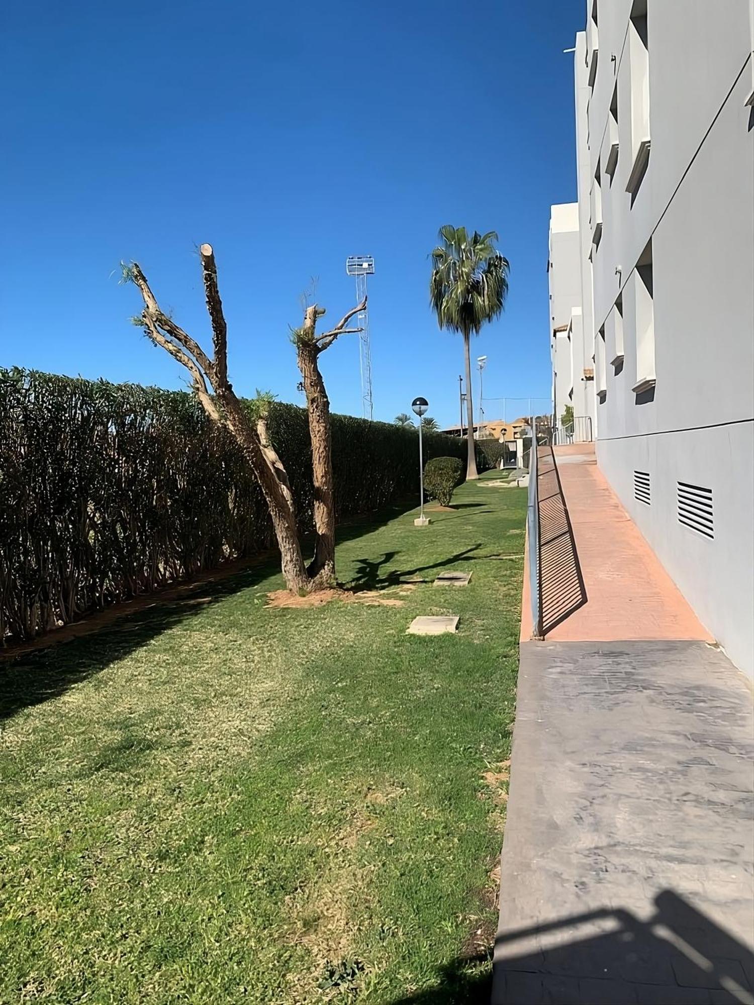 Appartamento Prendisole Denia Con Piscina Y Terraza Esterno foto